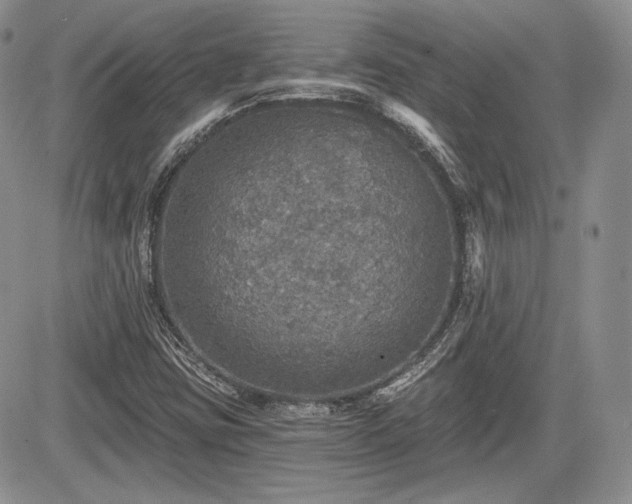 X0000085261403200703161352