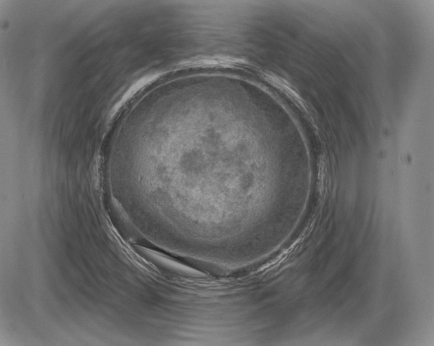 X0000085261404200703161352