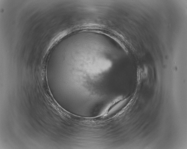 X0000085261405200703161352