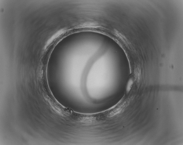 X0000085261406200703161352