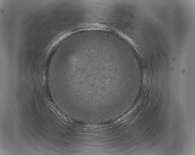 X0000085261407200703161352