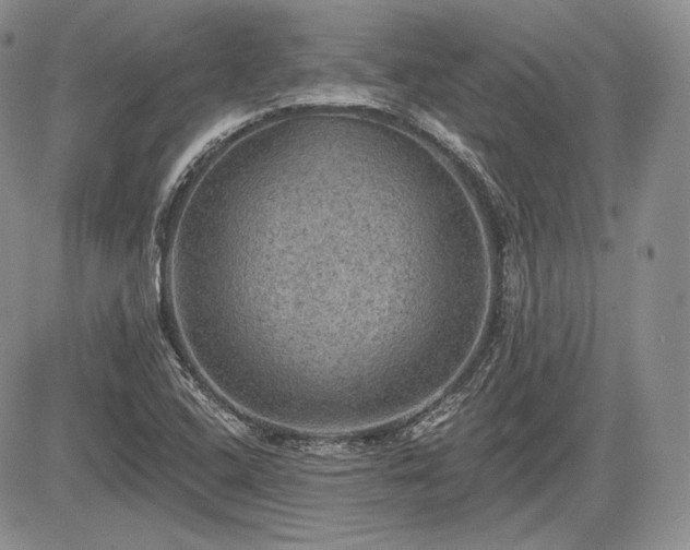 X0000085261408200703161352