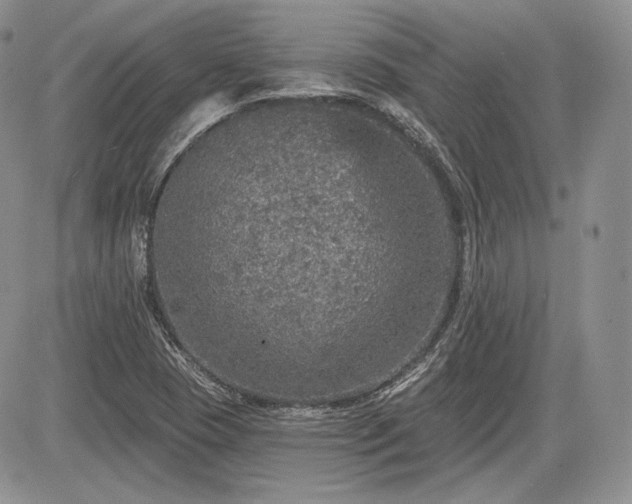 X0000085261409200703161352