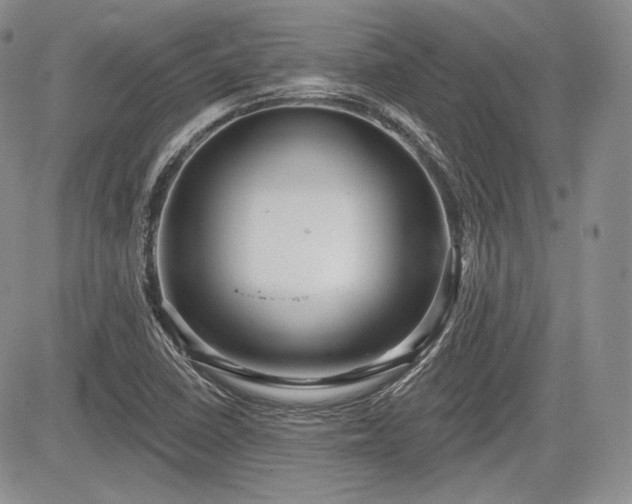 X0000085261410200703161352