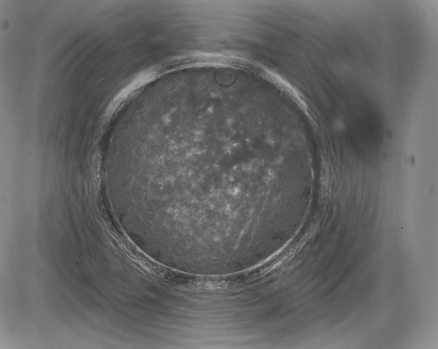 X0000085261411200703161352