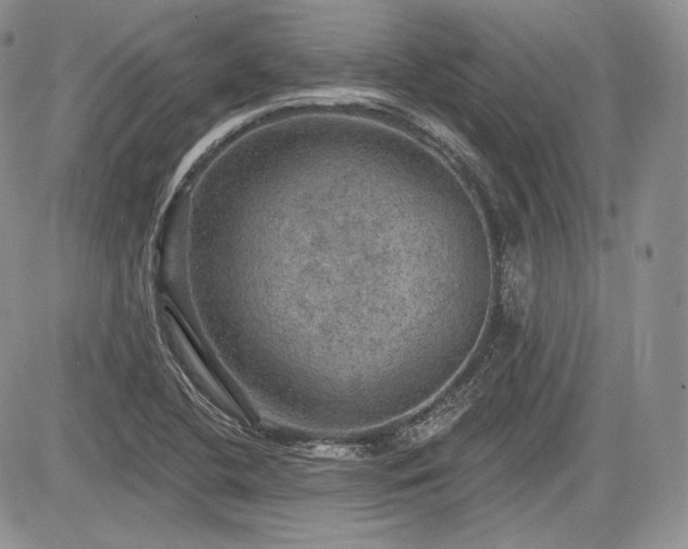 X0000085261412200703161352