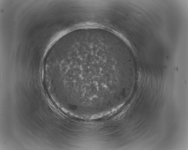 X0000085261413200703161352