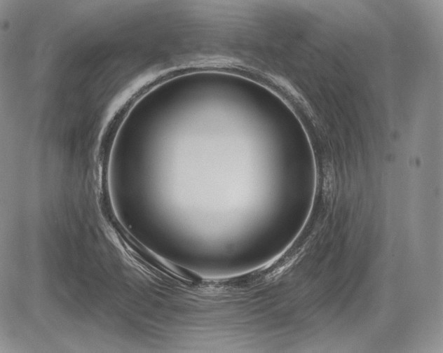 X0000085261414200703161352