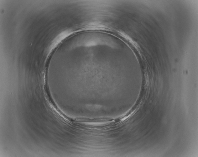 X0000085261415200703161352