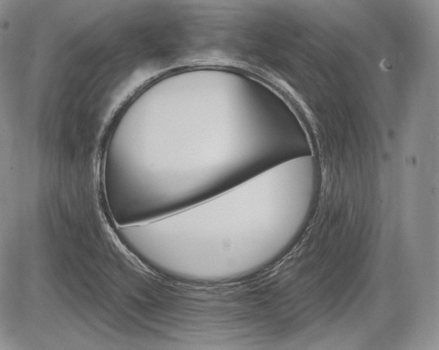 X0000085261416200703161352