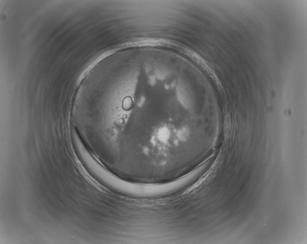 X0000085261417200703161352