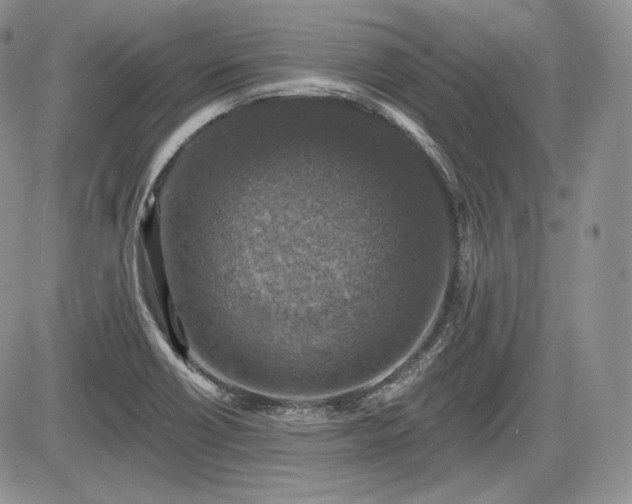 X0000085261418200703161352