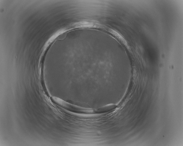 X0000085261419200703161352