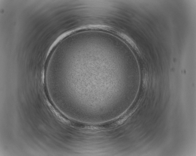 X0000085261420200703161352