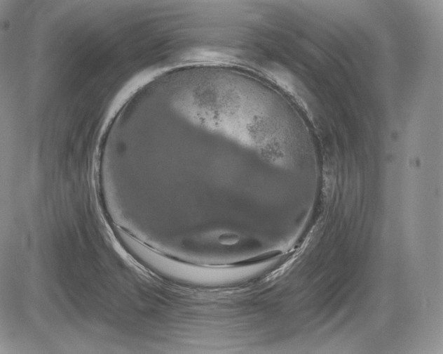 X0000085261421200703161352