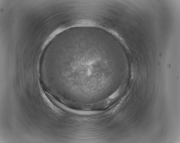 X0000085261422200703161352