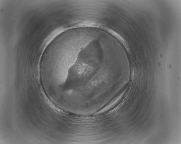 X0000085261423200703161352