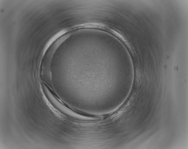 X0000085261426200703161352