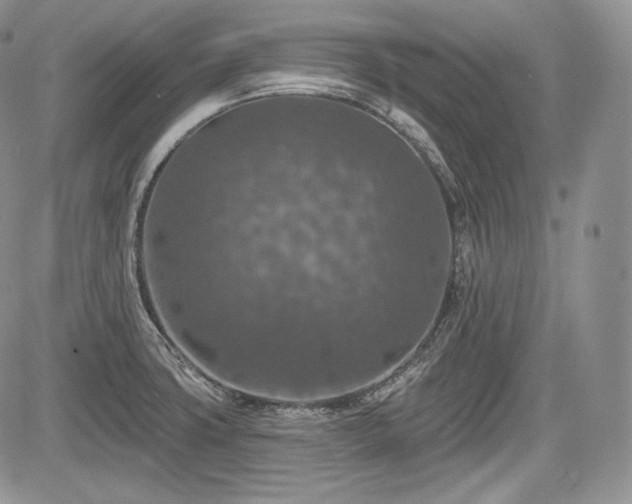 X0000085261427200703161352