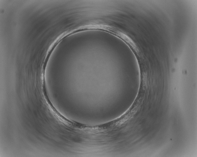 X0000085261428200703161352