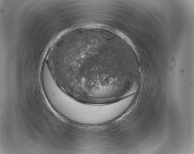 X0000085261429200703161352