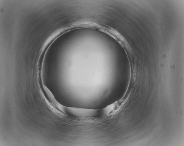 X0000085261430200703161352