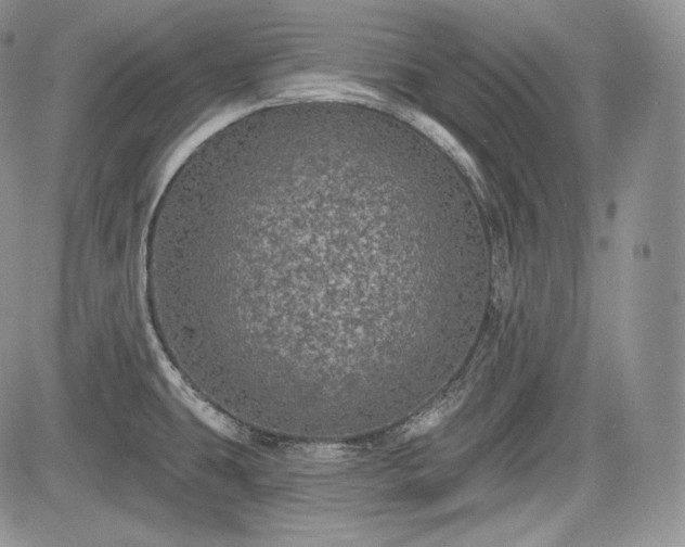 X0000085261431200703161352