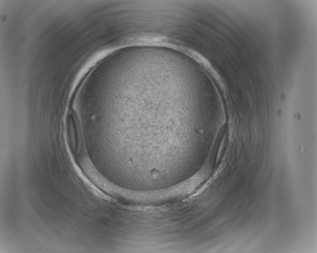 X0000085261432200703161352