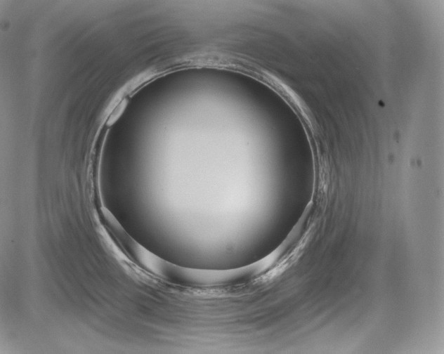 X0000085261434200703161352