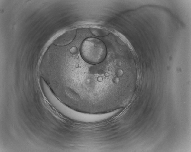 X0000085261435200703161352