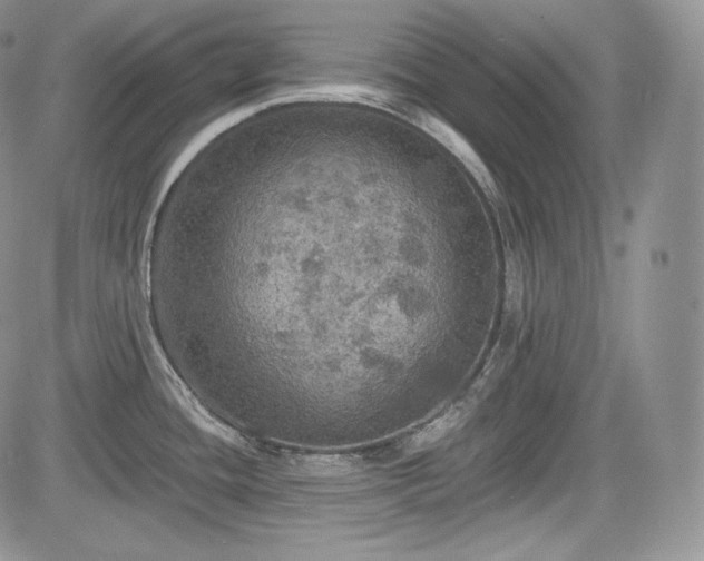 X0000085261436200703161352