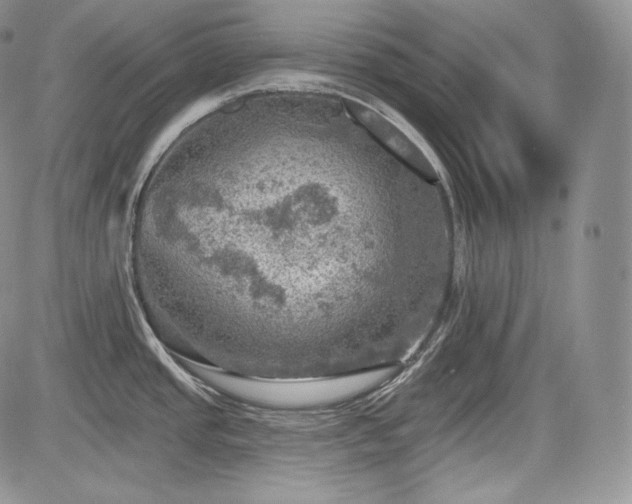 X0000085261437200703161352