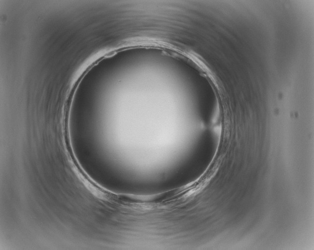 X0000085261438200703161352