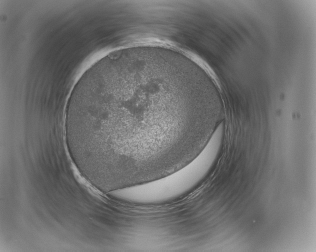 X0000085261439200703161352