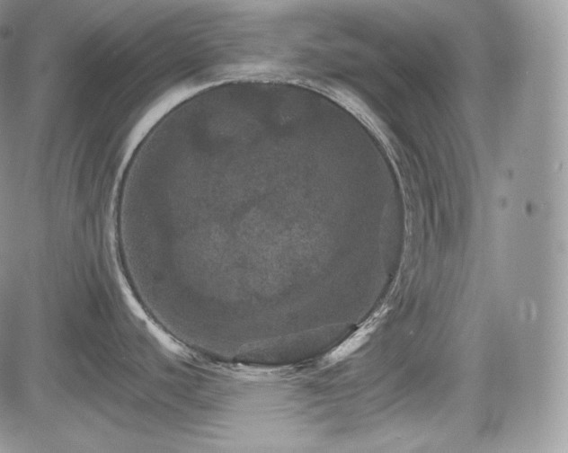 X0000085261440200703161352