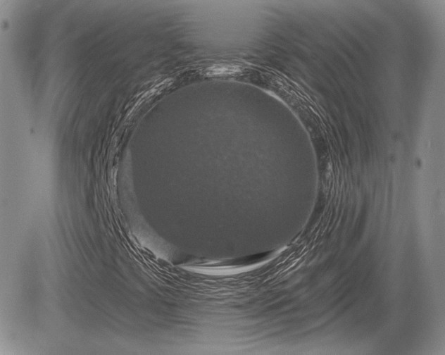 X0000085261441200703161352