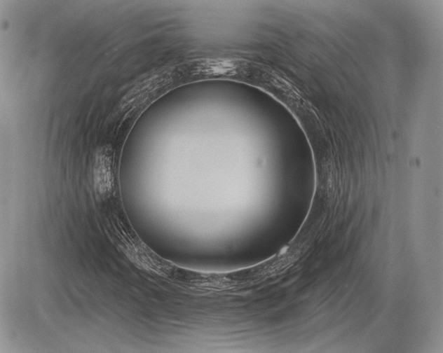 X0000085261442200703161352