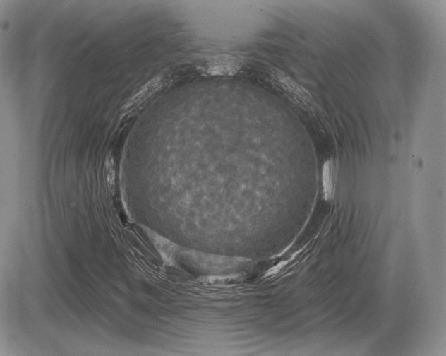 X0000085261443200703161351