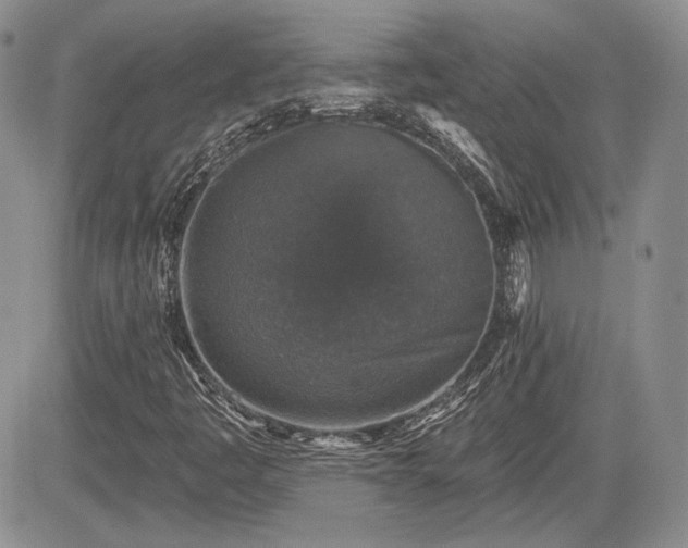 X0000085261445200703161351