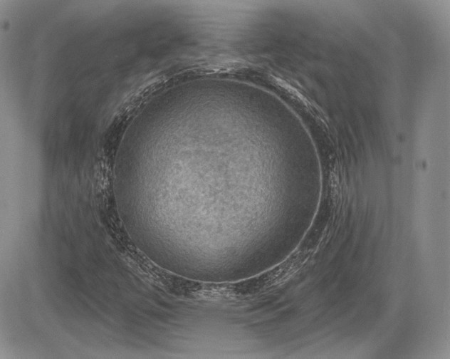 X0000085261447200703161351