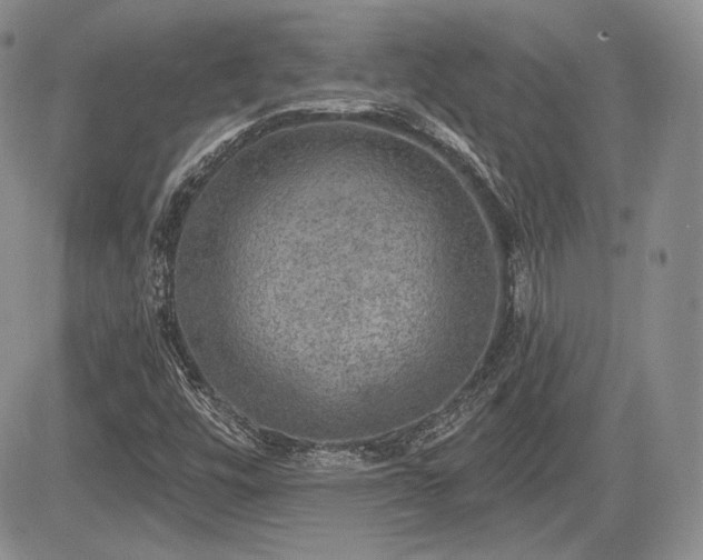 X0000085261448200703161351