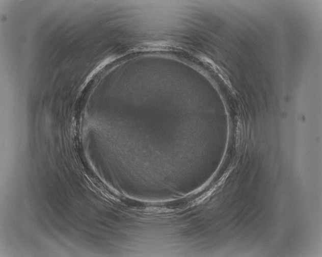 X0000085261449200703161351