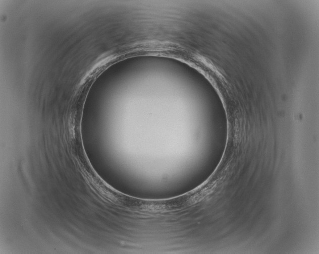 X0000085261451200703161351