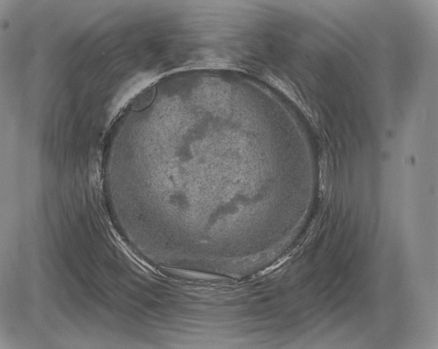 X0000085261452200703161351