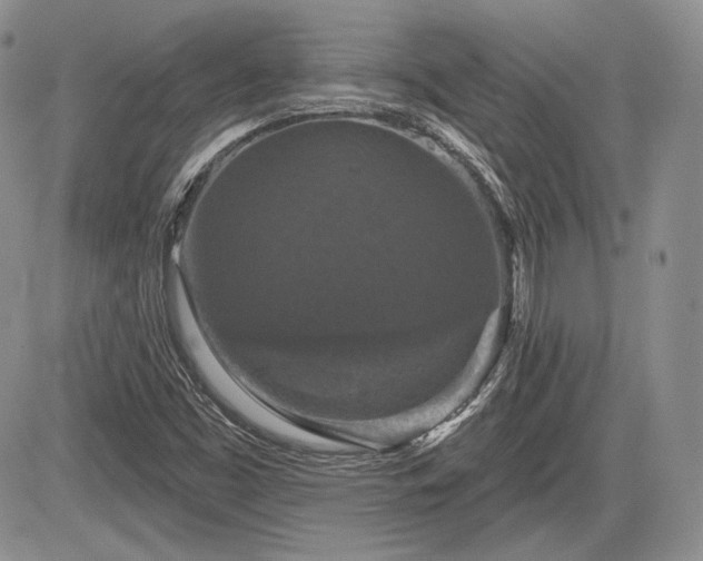 X0000085261453200703161351