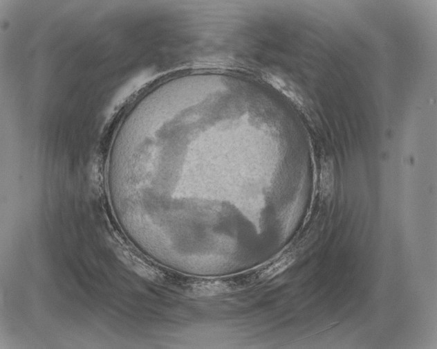 X0000085261454200703161351