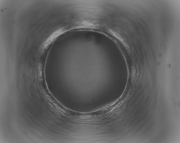 X0000085261455200703161351