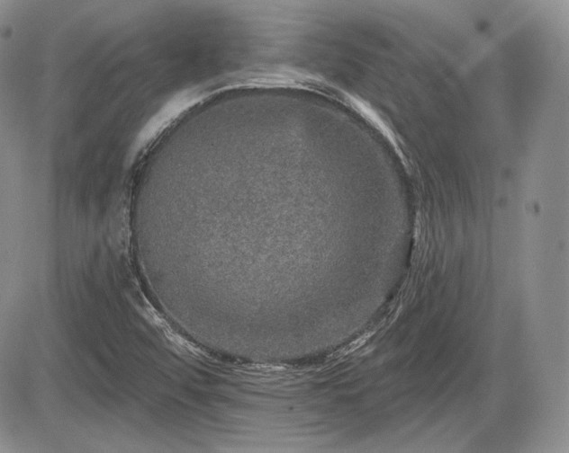 X0000085261456200703161351