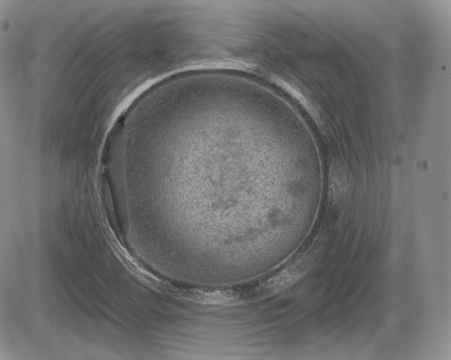 X0000085261460200703161351