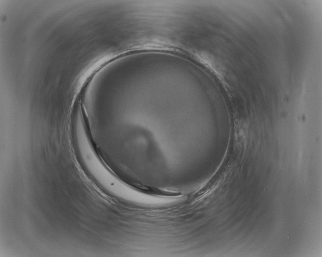 X0000085261463200703161351